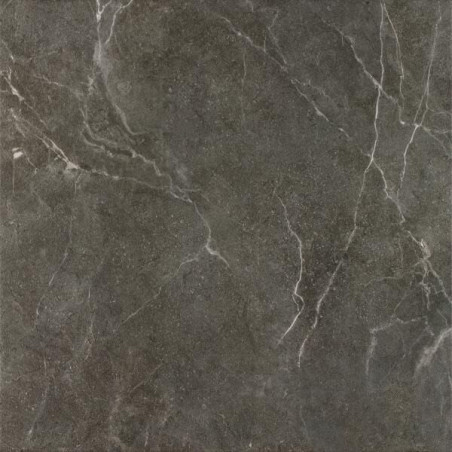 Płytka Ibis Antracite Mat 60x60 Paradyż