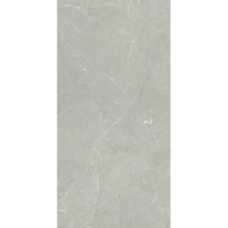 Płytka Fillstone Grey Mat 29,8x59,8 Paradyż Classica