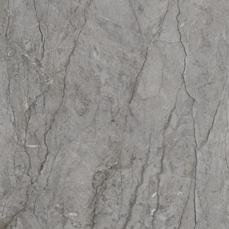 Płytka Visioner Grey Połysk 120x120 Paradyż My Way