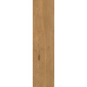 Płytka Tarasowa Trueland Gold Mat 29,5x119,5 Paradyż Płytka Tarasowa Trueland Gold Mat 29,5x119,5 Paradyż