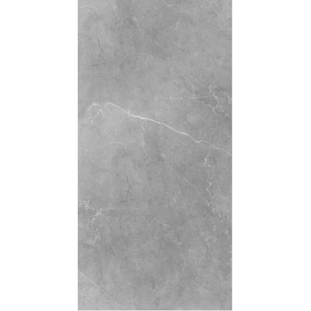 Płytka Silver Grey SY 12 29,7x59,7 Nowa Gala