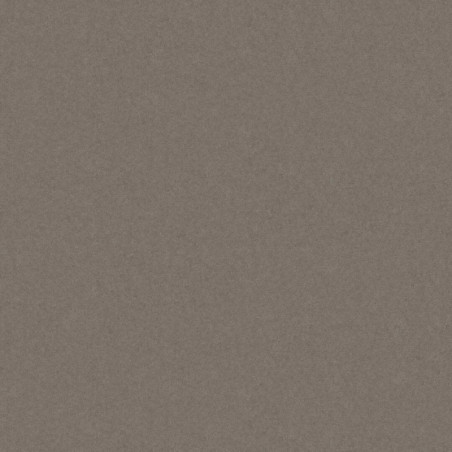Płytka Podłogowa Monolight Exterior 60x60 Brown Nowa Gala