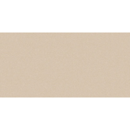 Płytka Podłogowa Monolight Exterior 120x60 Beige Nowa Gala