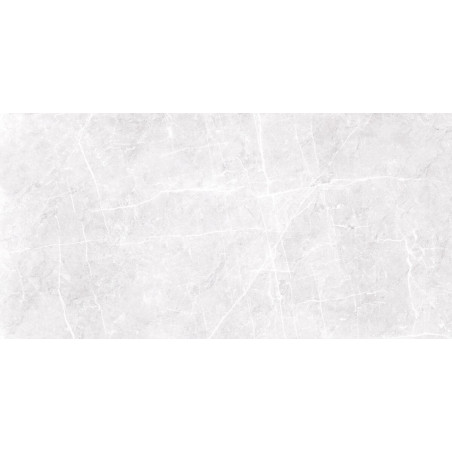 Płytka Etnos Silver Poler 119,7x59,7 Ceramica Limone