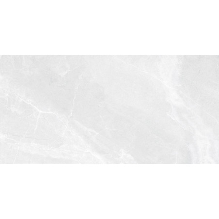 Płytka Babilon Silver Mat 60x120 Ceramica Limone