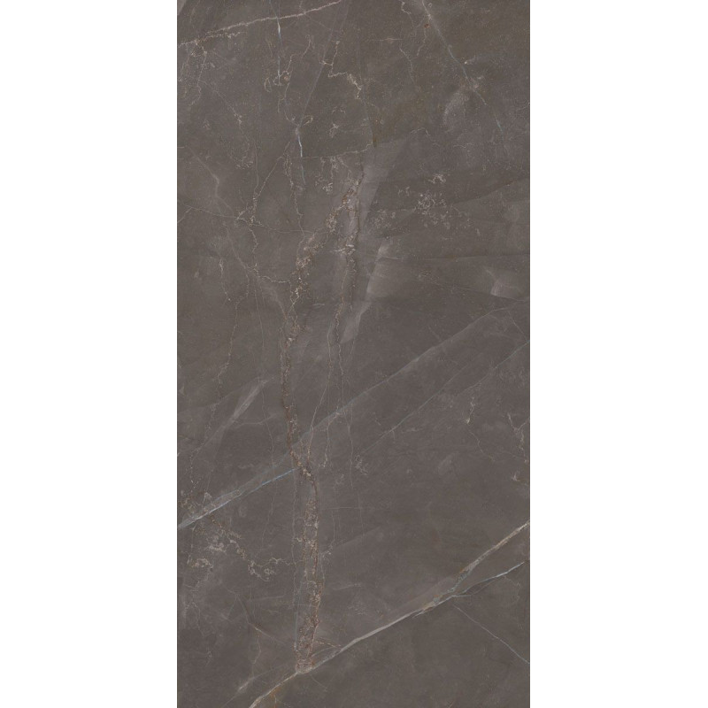 Płytka Podłogowa Elegant Look Brown 119,8x59,8 Ceramica Limone Płytka Podłogowa Elegant Look Brown 119,8x59,8 Ceramica Limone