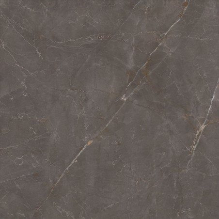 Płytka Podłogowa Elegant Look Brown 119,8x119,8 Ceramica Limone
