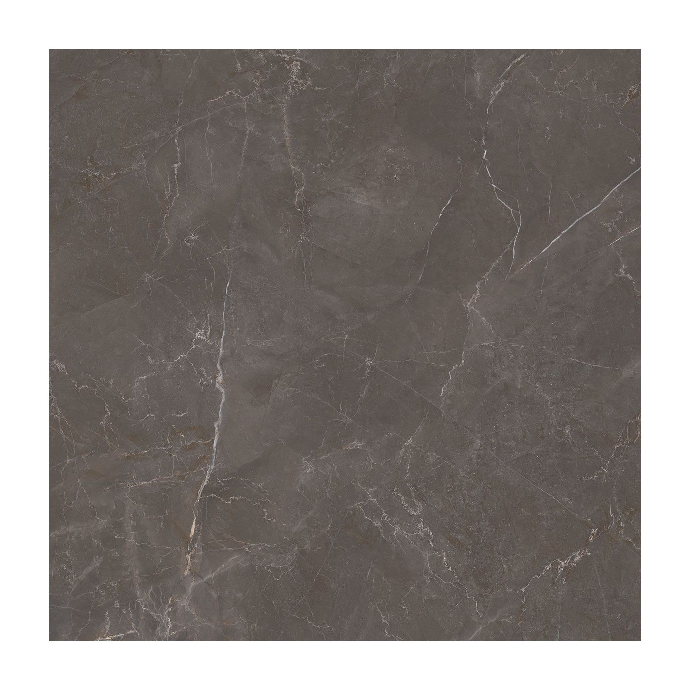Płytka Podłogowa Elegant Look Brown 119,8x119,8 Ceramica Limone Płytka Podłogowa Elegant Look Brown 119,8x119,8 Ceramica Limone