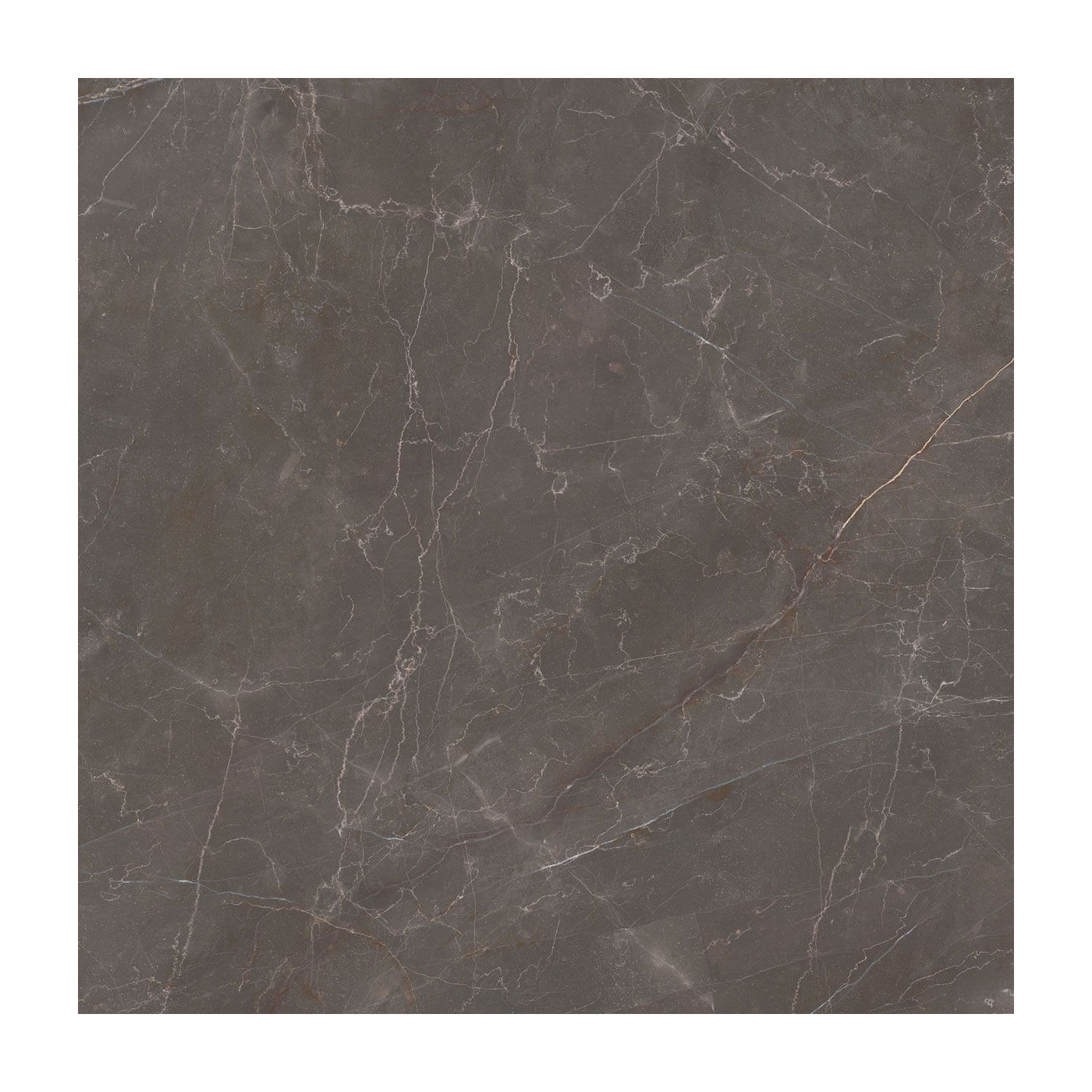 Płytka Podłogowa Elegant Look Brown 119,8x119,8 Ceramica Limone Płytka Podłogowa Elegant Look Brown 119,8x119,8 Ceramica Limone
