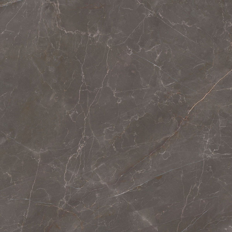 Płytka Podłogowa Elegant Look Brown 119,8x119,8 Ceramica Limone Płytka Podłogowa Elegant Look Brown 119,8x119,8 Ceramica Limone