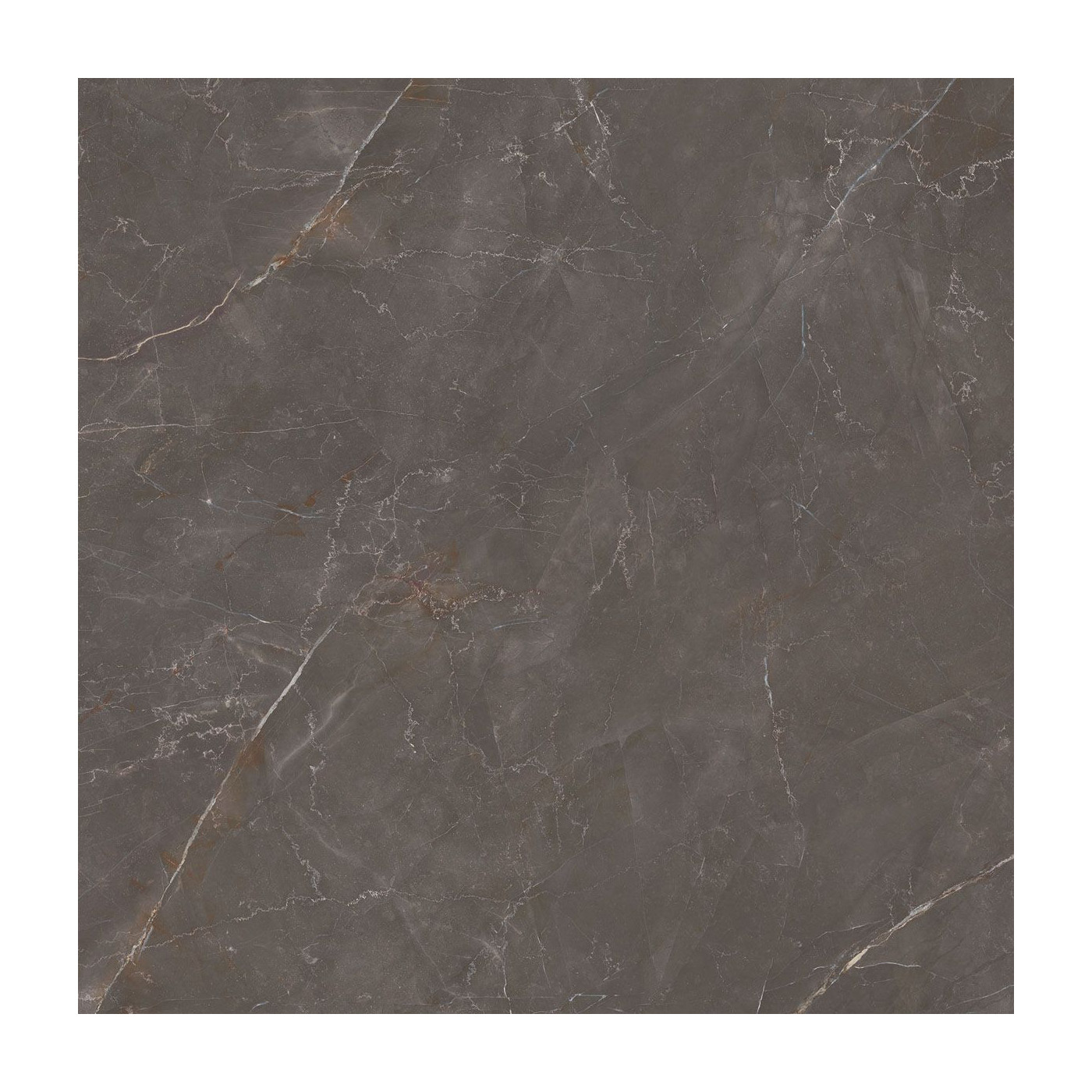 Płytka Podłogowa Elegant Look Brown 119,8x119,8 Ceramica Limone Płytka Podłogowa Elegant Look Brown 119,8x119,8 Ceramica Limone