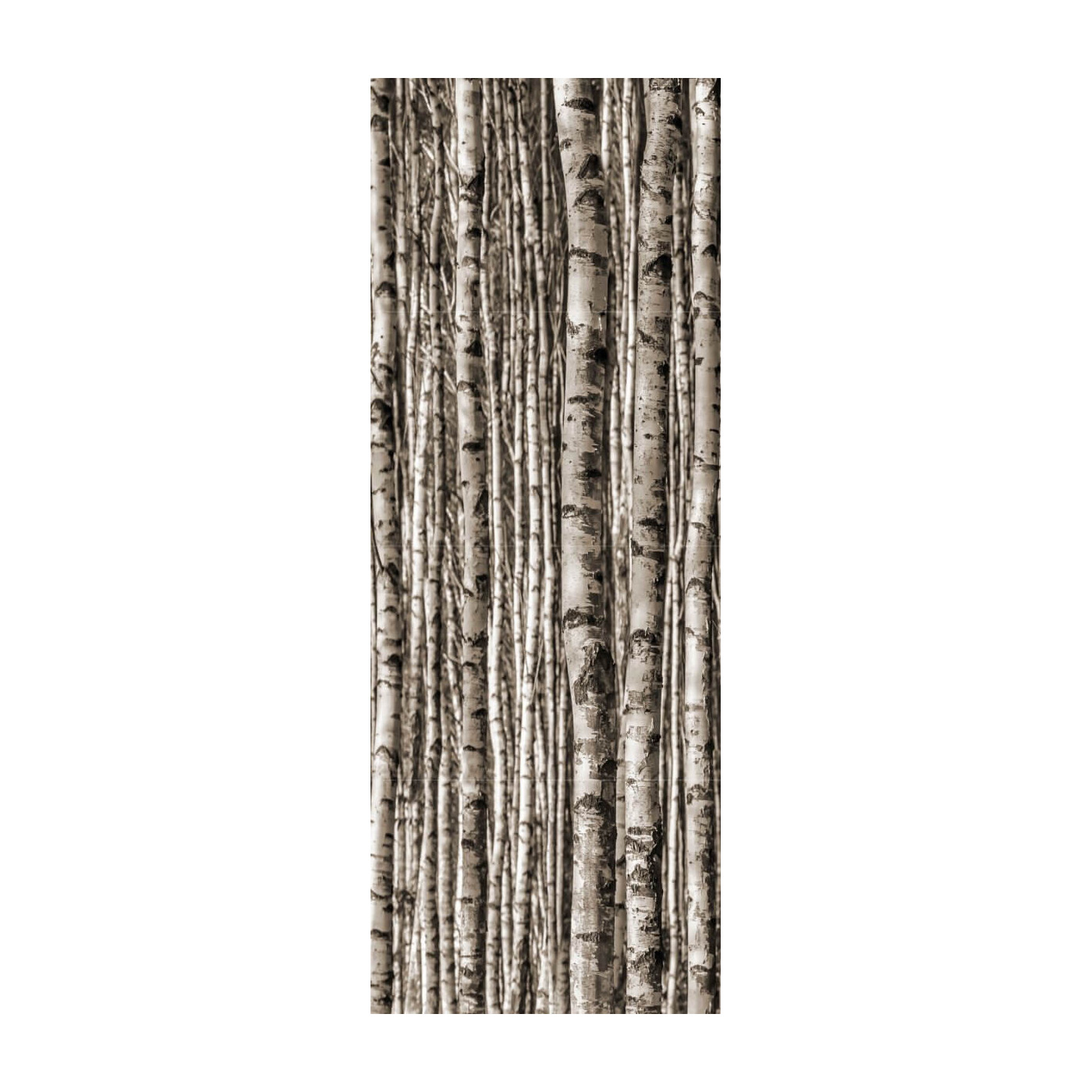 Dekor Ścienny Epoxy Birch 89,8x59,8 Tubądzin Dekor Ścienny Epoxy Birch 89,8x59,8 Tubądzin