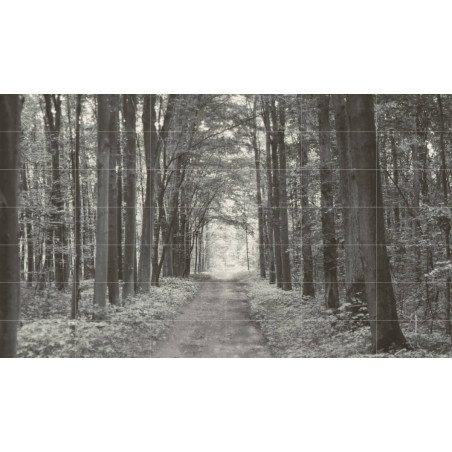 Obrazy Ścienne 42-elementowe All In White (3598x2098) 59,8x29,8 Tubądzin