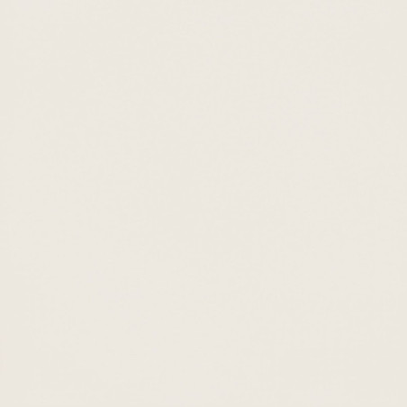 Płytka My Tones White MAT 59,8x59,8 Tubądzin