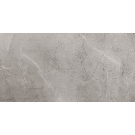 Płytka Remos Grey Mat 119,8x59,8 Tubądzin Domino