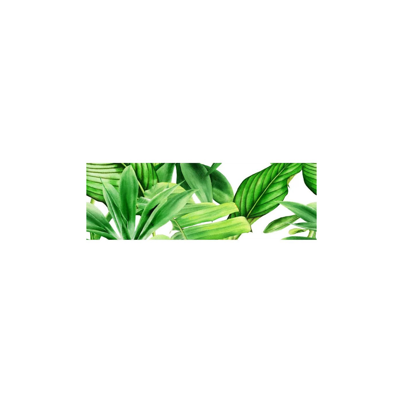 Dekor Garden Tropic A 75x25 Ceramica Bianca Dekor Garden Tropic A 75x25 Ceramica Bianca