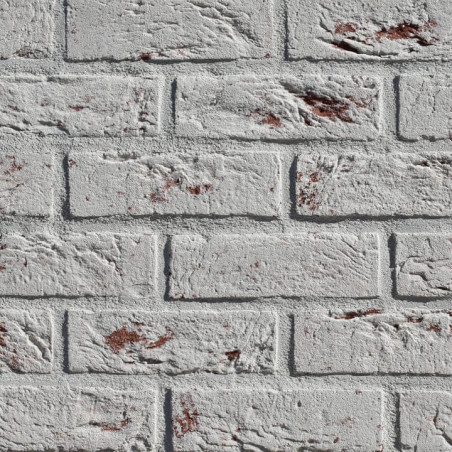 Płytka Cegłopodobna Country 680 20,5x6,2 Stegu