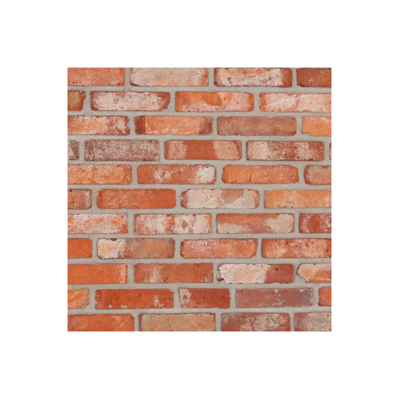 Płytka Cegła Dekoracyjny Cut Brick 25x6 Maxstone Płytka Cegła Dekoracyjny Cut Brick 25x6 Maxstone
