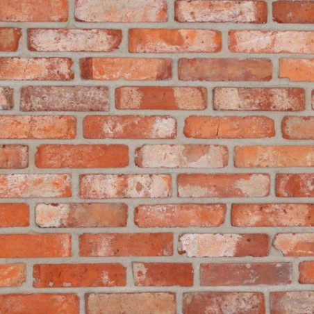 Płytka Cegła Dekoracyjny Cut Brick 25x6 Maxstone