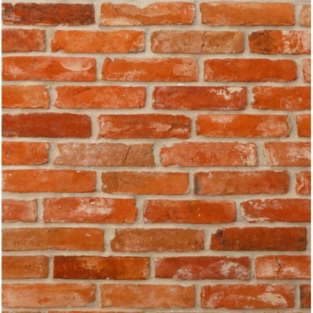 Cegły Płytka Dekoracyjna Cut Brick Premium 25x6 Maxstone