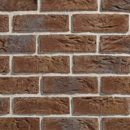 Płytka cegłopodobna Country 668 20,5x6,2 Stegu