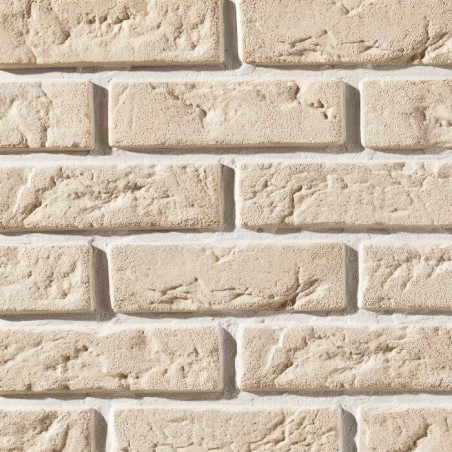 Płytka Cegłopodobna Cambridge 9 20,8x6,3 Stegu