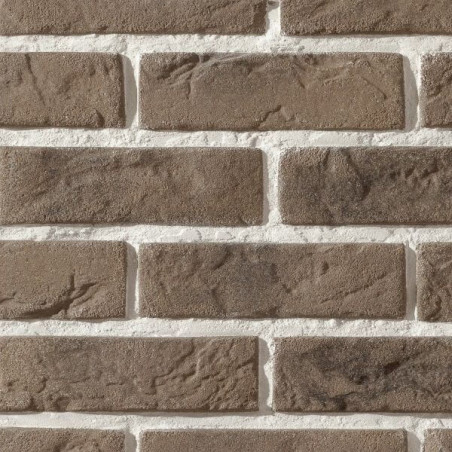 Płytka Cegłopodobna Cambridge 12 20,8x6,3 Stegu