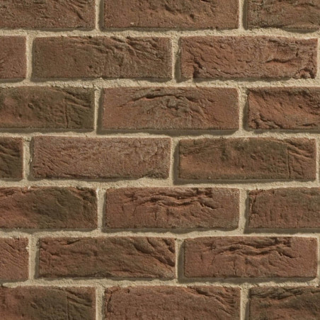 Płytka Cegłopodobna Country 640 20,5x6,2 Stegu