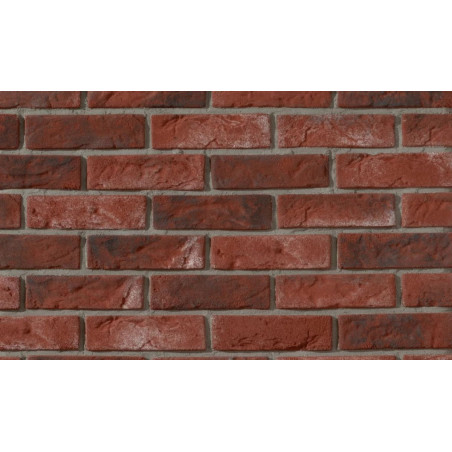 Płytka Cegłopodobna Cambridge 18 20,8x6,3 cm Stegu