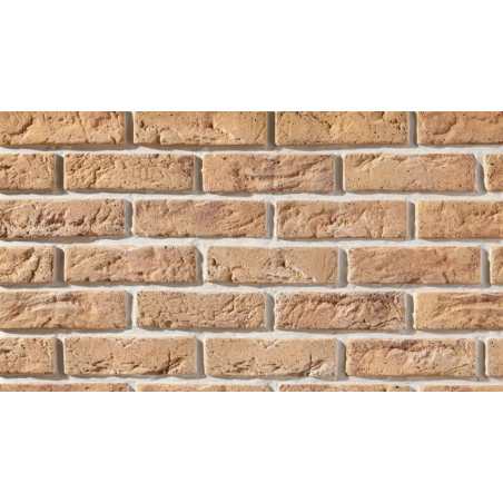 Płytka Cegłopodobna Cambridge 3 20,8x6,3 cm Stegu
