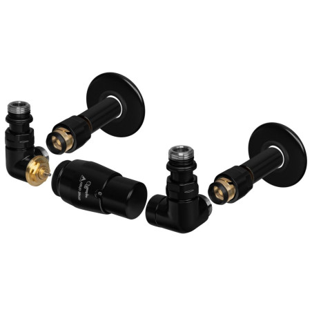 Zestaw Termostatyczny Vision All In One Z Głowicą Prestige Lewy Czarny Mat AVIGS0224CFK/L(PEX) Varioterm