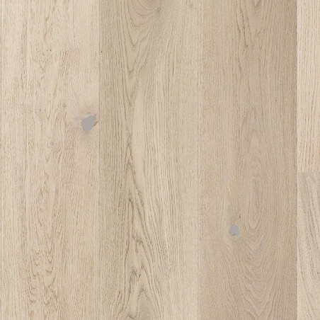 Panel Sense Dąb Tender 220x20,7 Barlinek