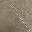 Panel Podłogowy Majestic Dąb Leśny Brązowy 205x24 MJ3548 Quick-Step Panel Podłogowy Majestic Dąb Leśny Brązowy 205x24 MJ3548 Quick-Step