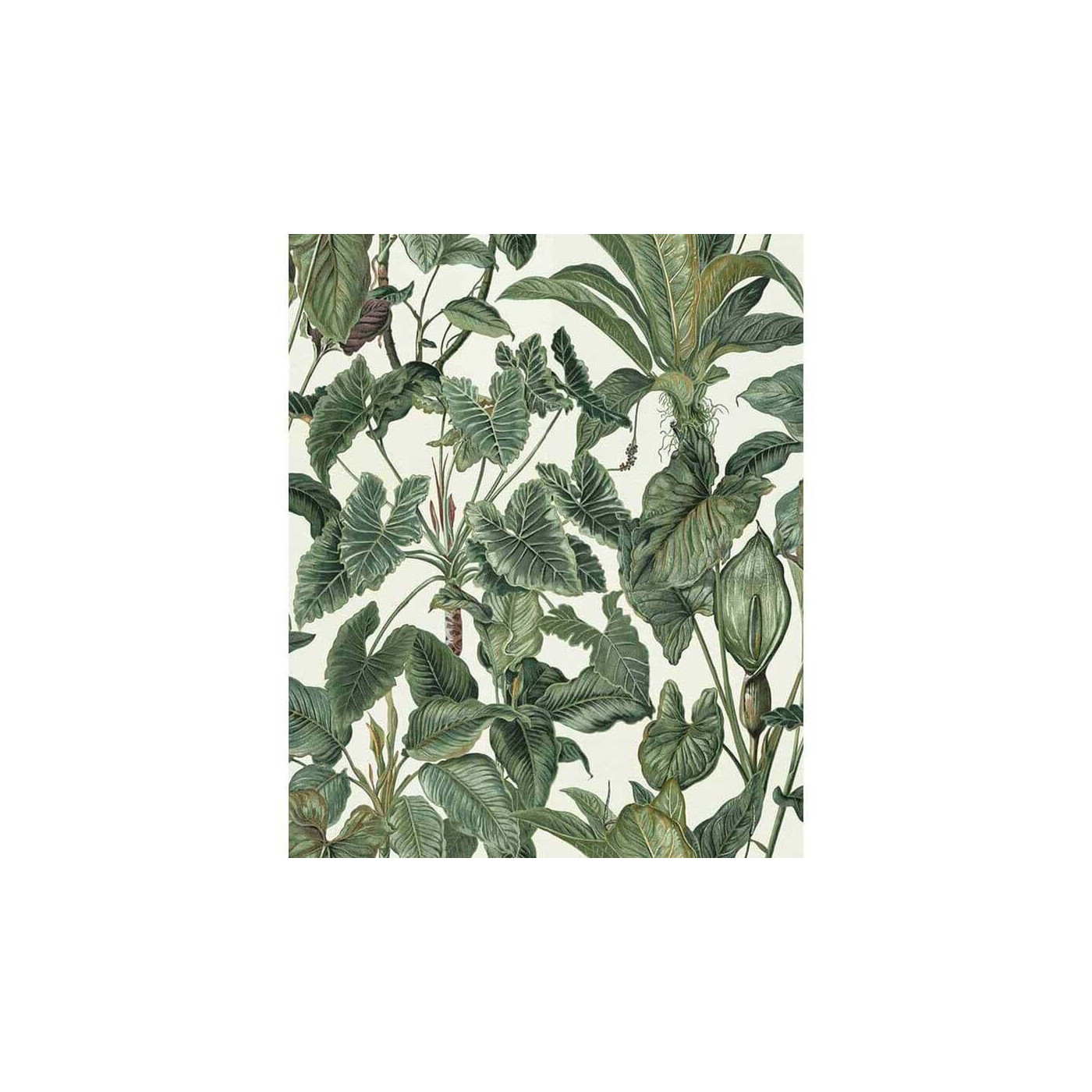 Tapeta Paradisio 6303-07 10x0,53 m Erismann Tapeta Paradisio 6303-07 10x0,53 m Erismann