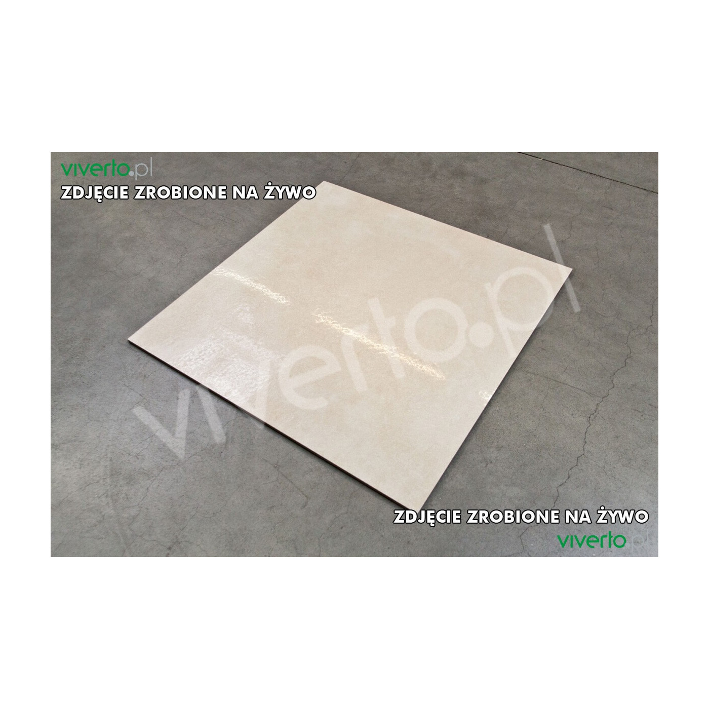 Baltico BEIGE Lappato 60x60 Emigres Baltico BEIGE Lappato 60x60 Emigres