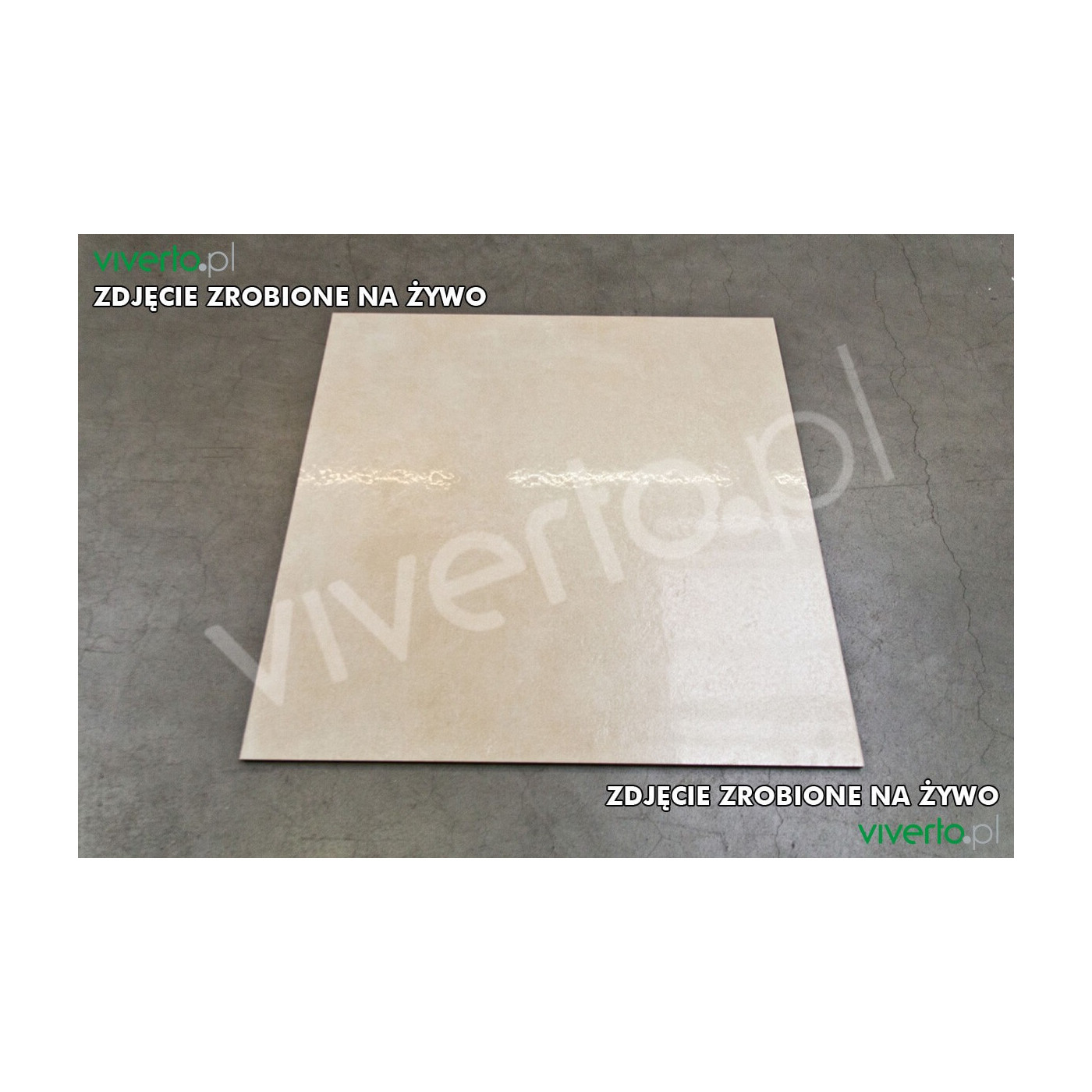 Baltico BEIGE Lappato 60x60 Emigres Baltico BEIGE Lappato 60x60 Emigres