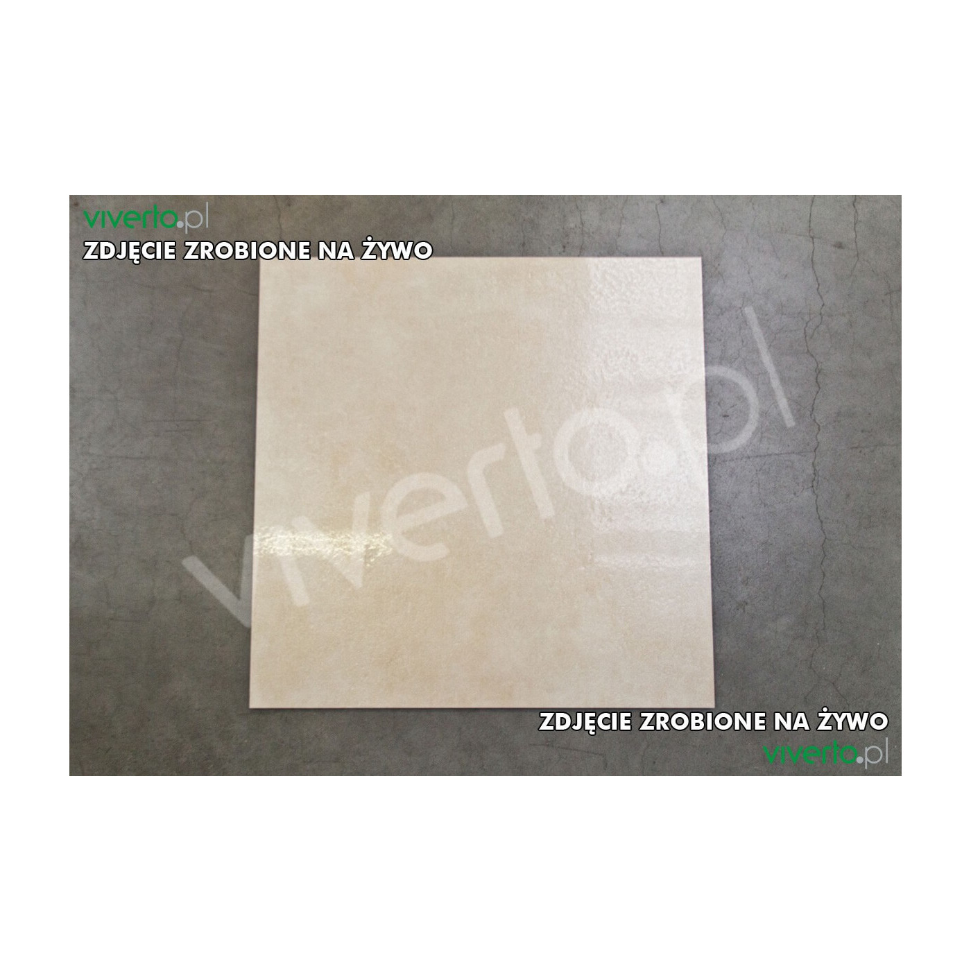 Baltico BEIGE Lappato 60x60 Emigres Baltico BEIGE Lappato 60x60 Emigres