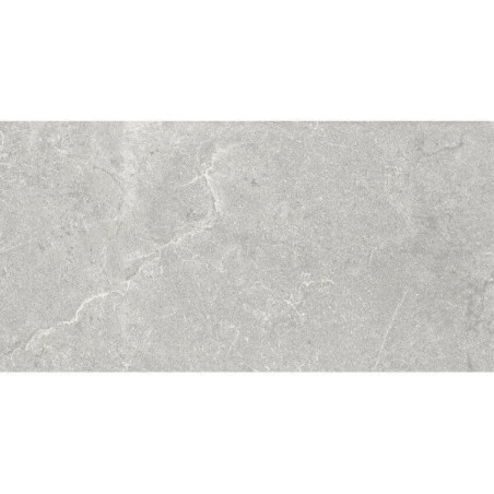 Płytka Podłogowa Kingstone Ash 60x120 AB