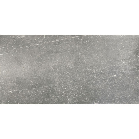 Płytka Gresowa Nickon Chrome Rect. 60x120 AB