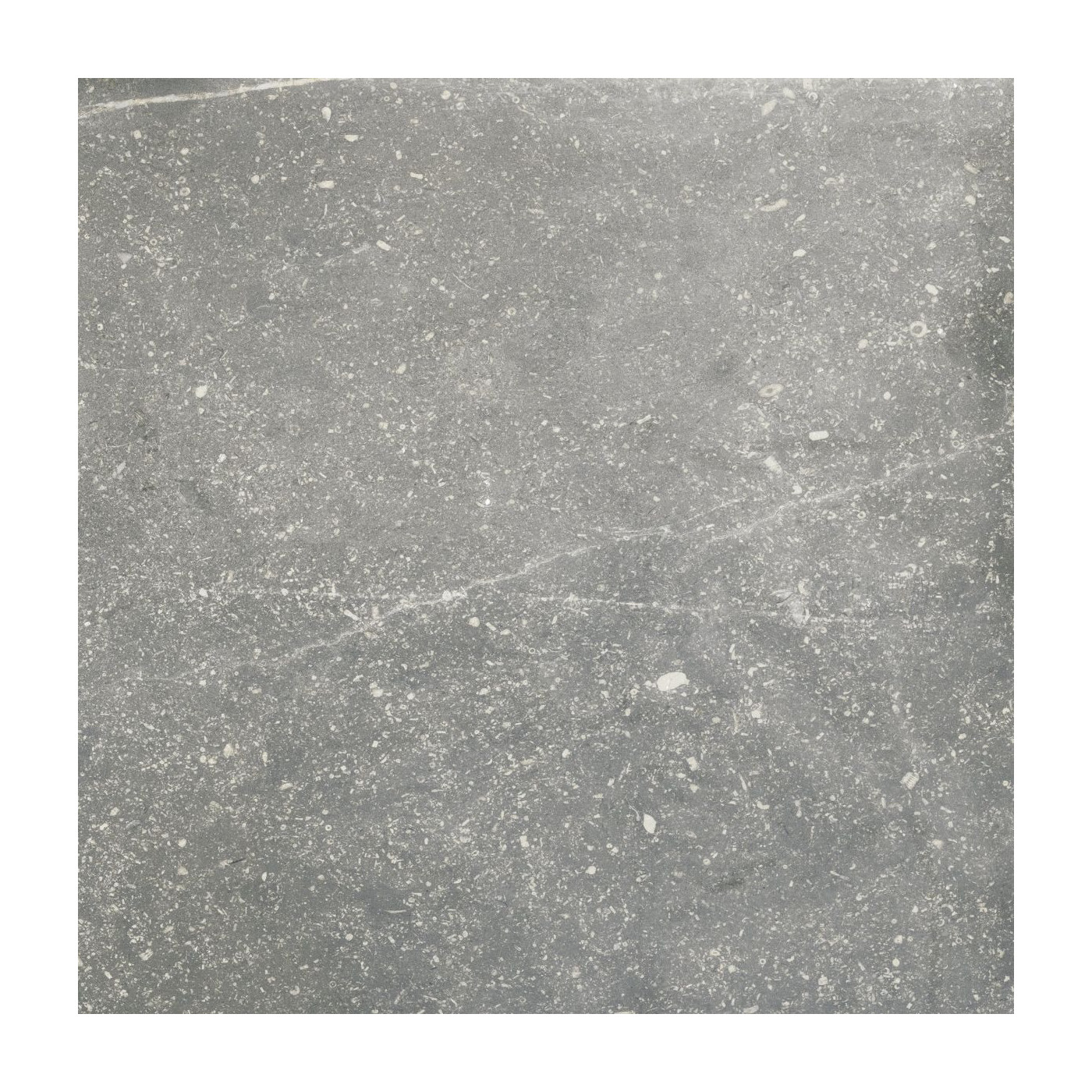 Płytka Gresowa Nickon Chrome Rect. 60x60 AB Płytka Gresowa Nickon Chrome Rect. 60x60 AB