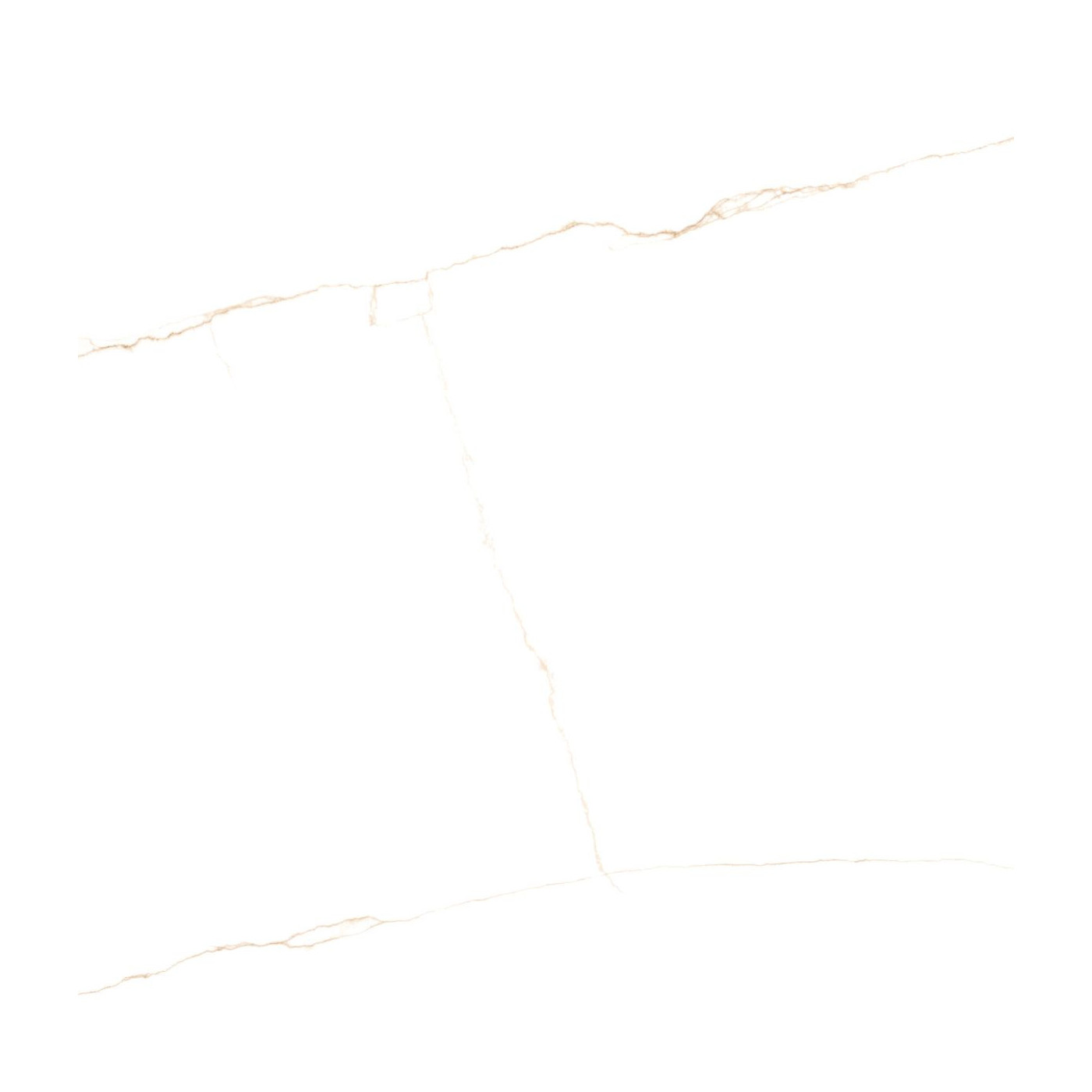 Płytka Podłogowa Lab. Bianco Mare Gold 120x120 Prissmacer Ceramica Płytka Podłogowa Lab. Bianco Mare Gold 120x120 Prissmacer Ceramica