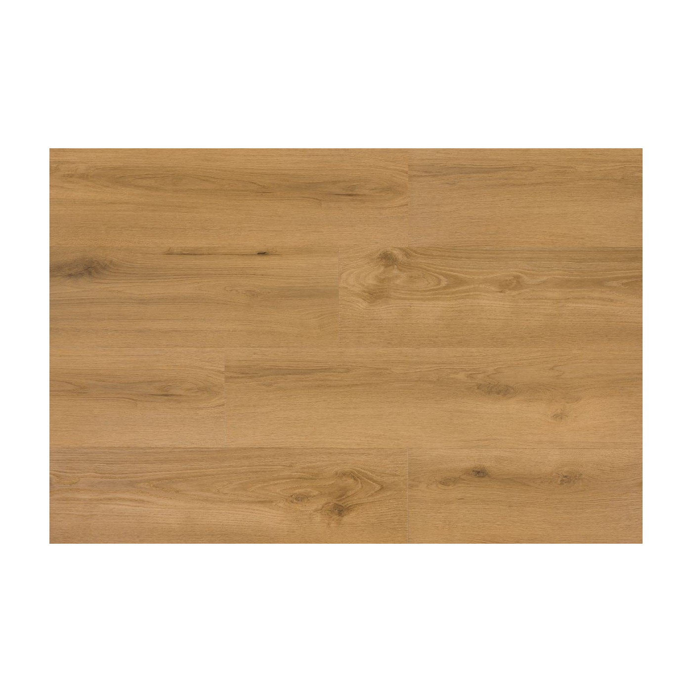 Panel Winylowy Dryback Deska Warp 2,5x228x1218 GTDBAUCC010 Gt Flooring Panel Winylowy Dryback Deska Warp 2,5x228x1218 GTDBAUCC010 Gt Flooring