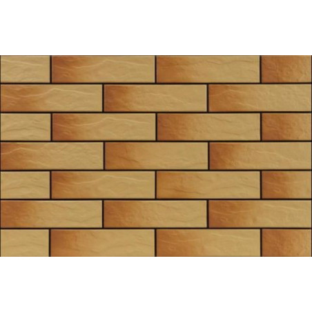 Elewacja Rustykalna Gobi 6,5x24,5 Cerrad
