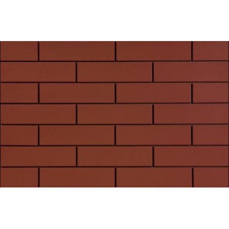 Elewacja Rot 6,5x24,5 Cerrad