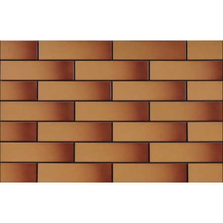 Elewacja Miodowa Szkliwiona 6,5x24,5 Cerrad