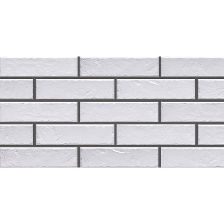 Płytka ścienna Foggia Bianco 6,5x24,5 Cerrad