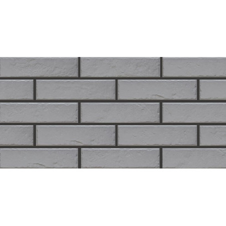 Płytka ścienna Foggia Gris 6,5x24,7 Cerrad