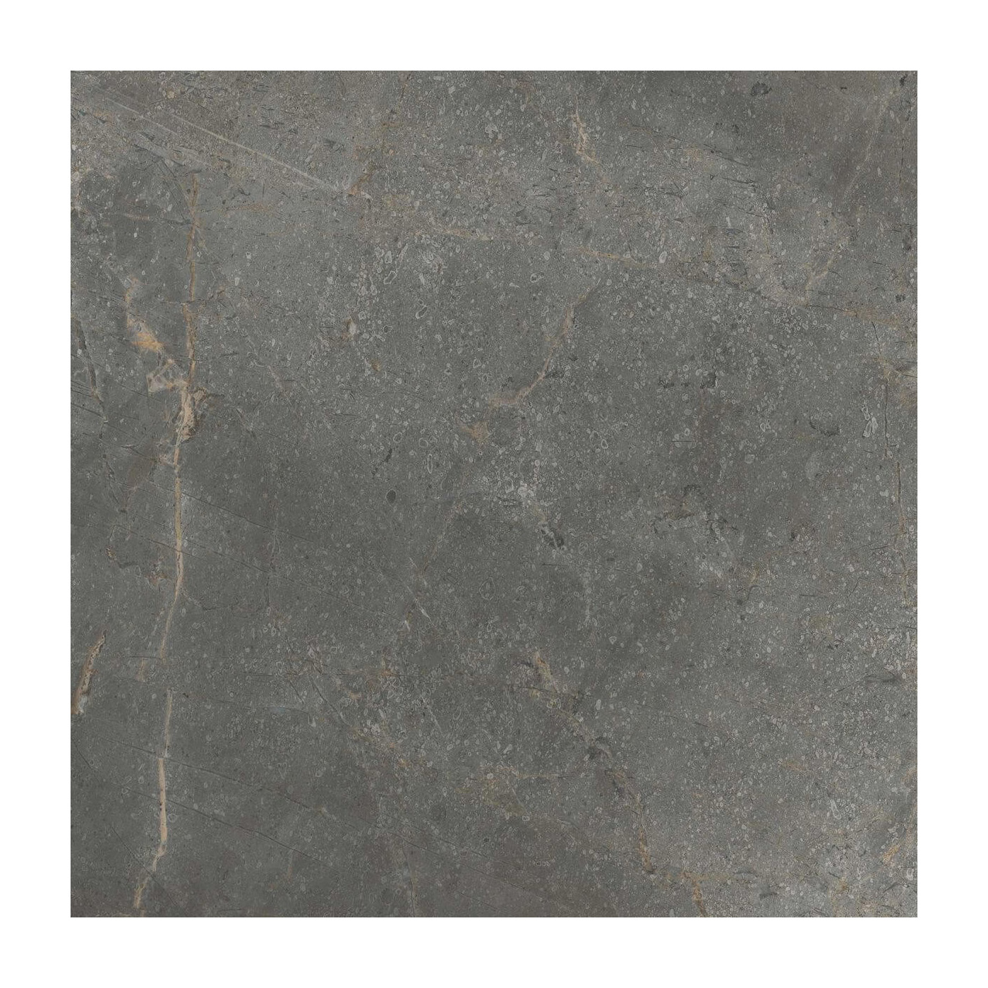 Płytka Masterstone Graphite 59,7x59,7 Cerrad Płytka Masterstone Graphite 59,7x59,7 Cerrad